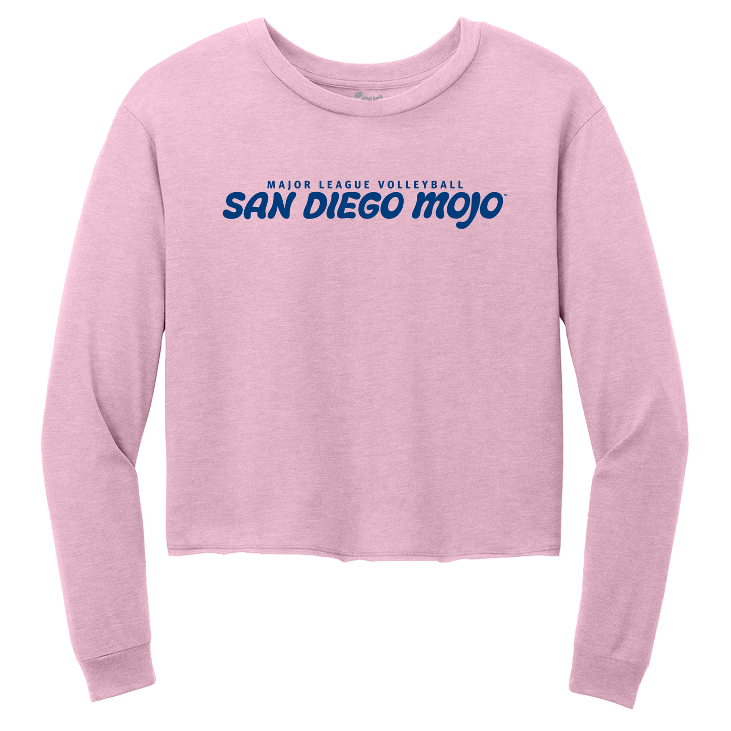 Womens Wordmark Cropped Long Sleeve T-Shirt